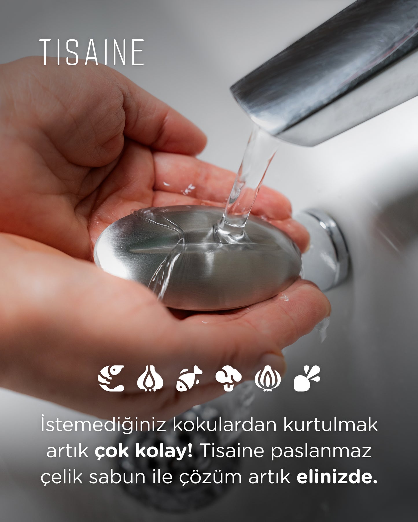 TISAINE Paslanmaz Çelik Sabun